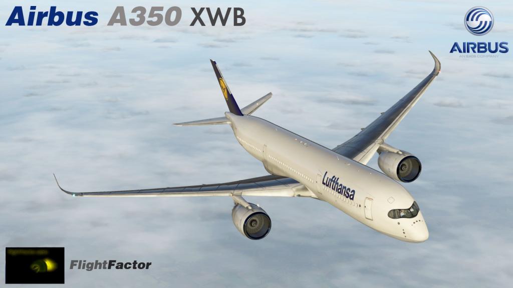 flight-factor-767-extended-crack