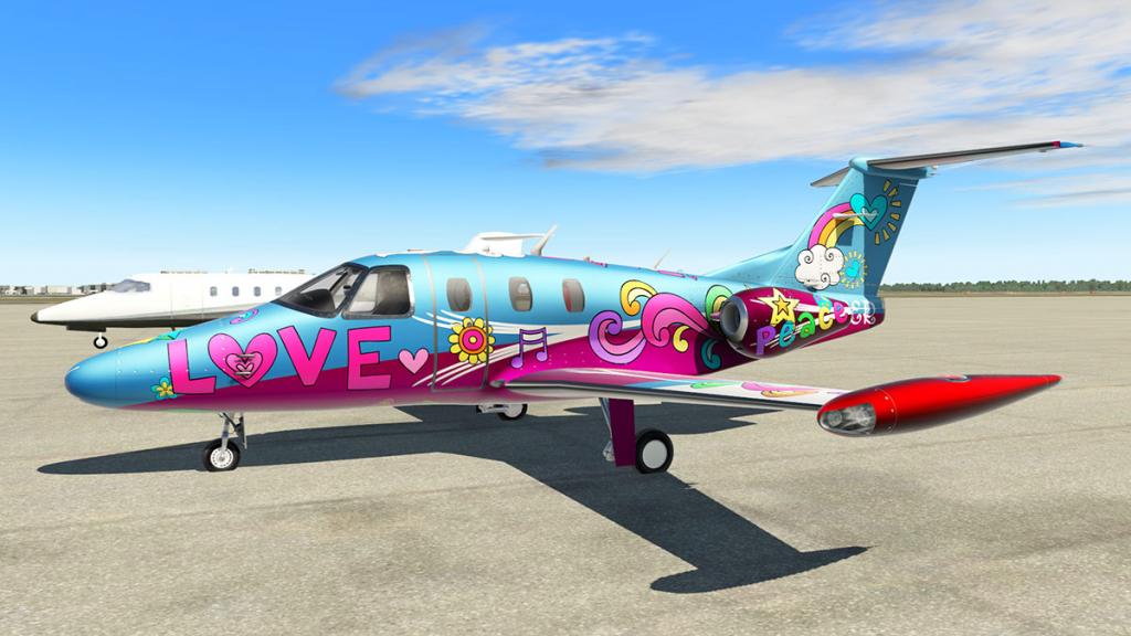Eclipse_NG_Livery Flower Power.jpg