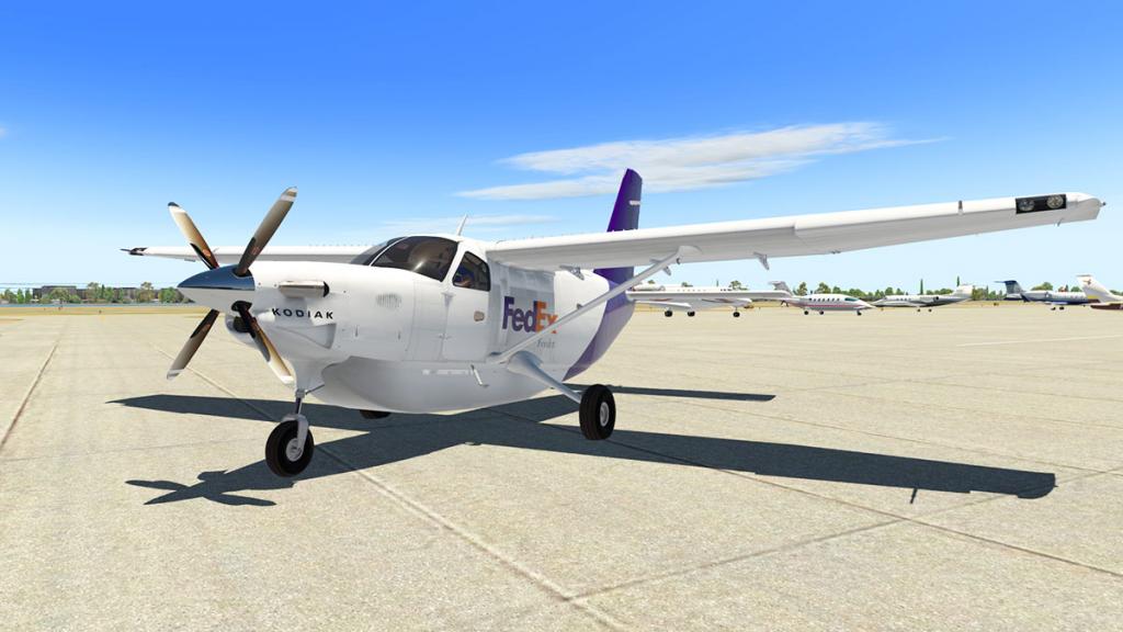 Quest_Kodiak-XP11_Flying Start.jpg