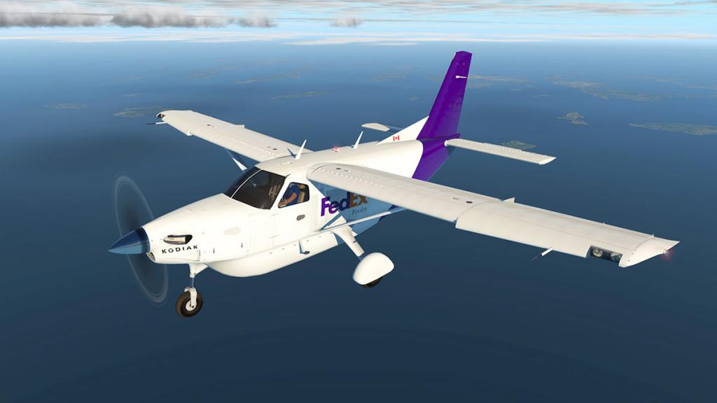 Quest_Kodiak-XP11_Flying 2.jpg