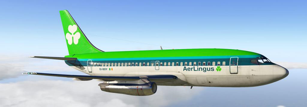 FJS_732_TwinJet_Livery Aer Lingus.jpg