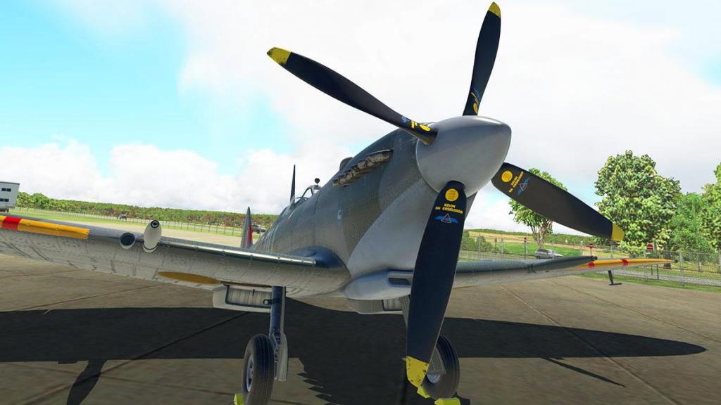 Spitfire L.F.Mk IXc_Head 4.jpg
