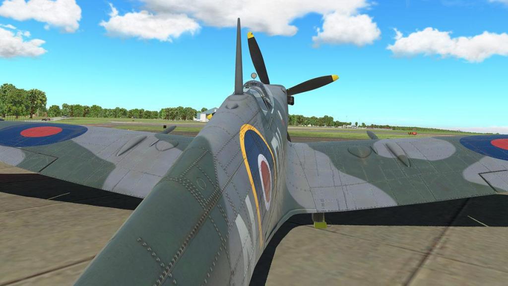 Spitfire L.F.Mk IXc_Head 5.jpg