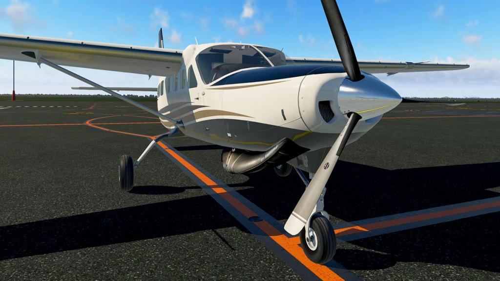 Aircraft Review : Cessna 208 Grand Caravan EX XP11 by Carenado ...